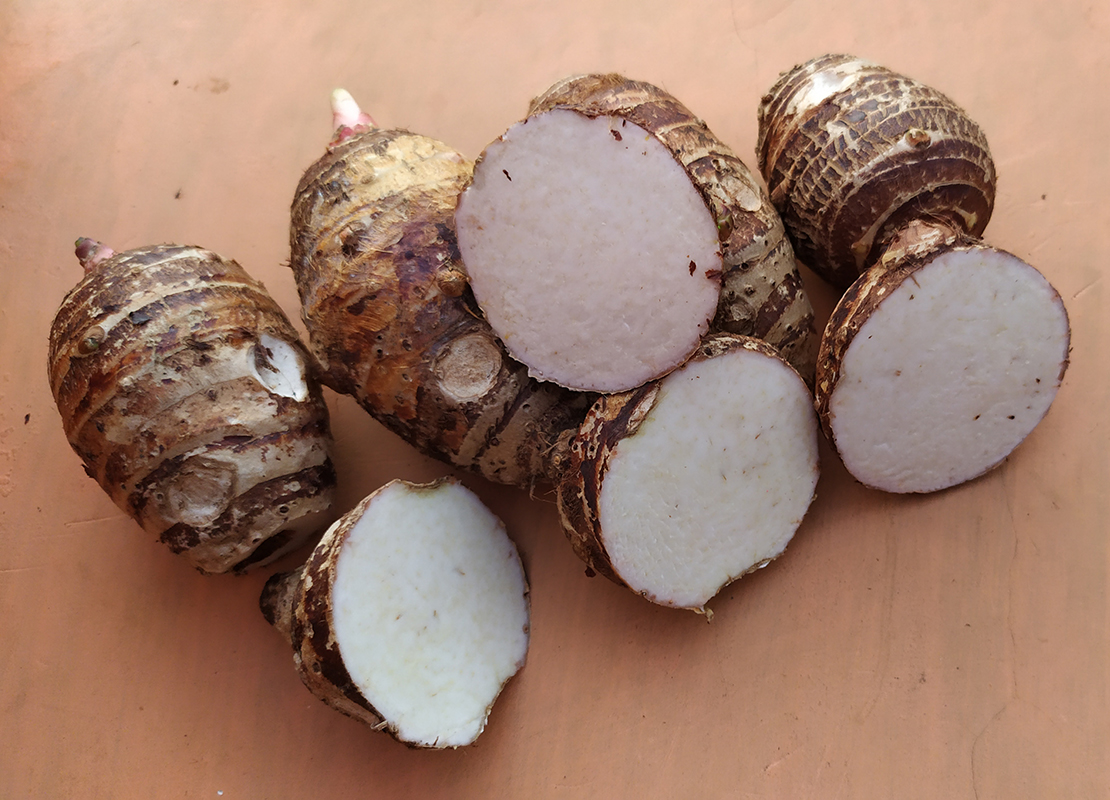 Taro japang